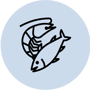 don-tuyen-thuc-tap-sinh