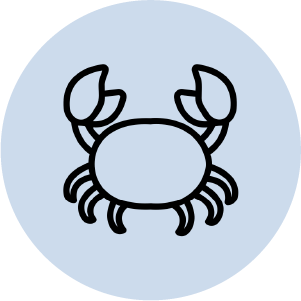 don-tuyen-thuc-tap-sinh