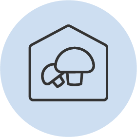 don-tuyen-thuc-tap-sinh