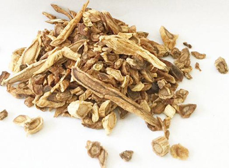 ky-su-lam-viec-tai-nhat-ban-esuhai-1