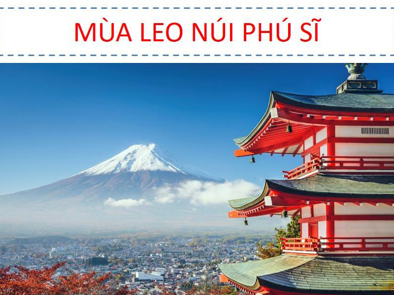 xuat-khau-lao-dong-esuhai-2
