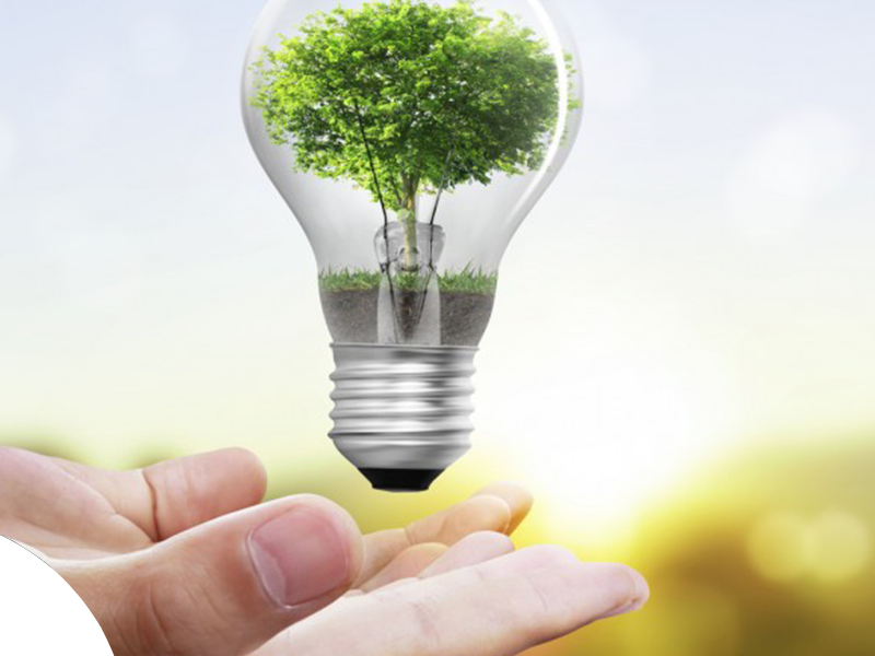 thuc-tap-sinh-nhat-ban-esuhai-kaizen-1