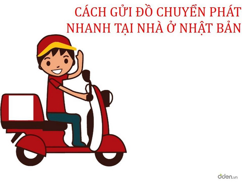 thưc-tạp-sinh-nhat-ban-esuhai-cpn