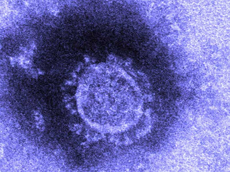 virus-corona