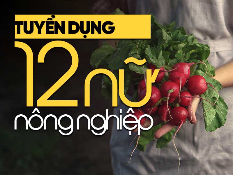xuat-khau-lao-dong-nhat-ban-esuhai-don-tuyen-nong-nghiep