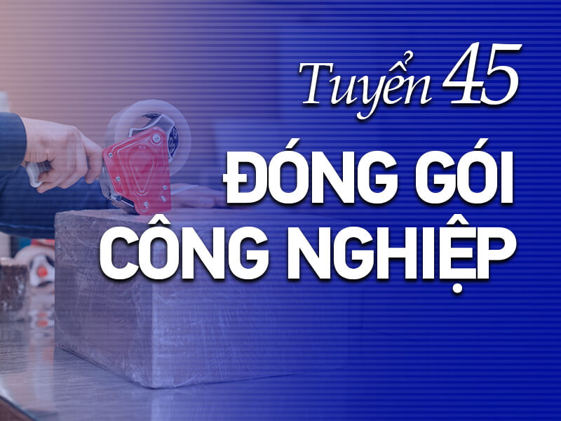 esuhai-xkldnb-tuyendung-thuctapsinh-2021-donggoiCONGNghiẹp45