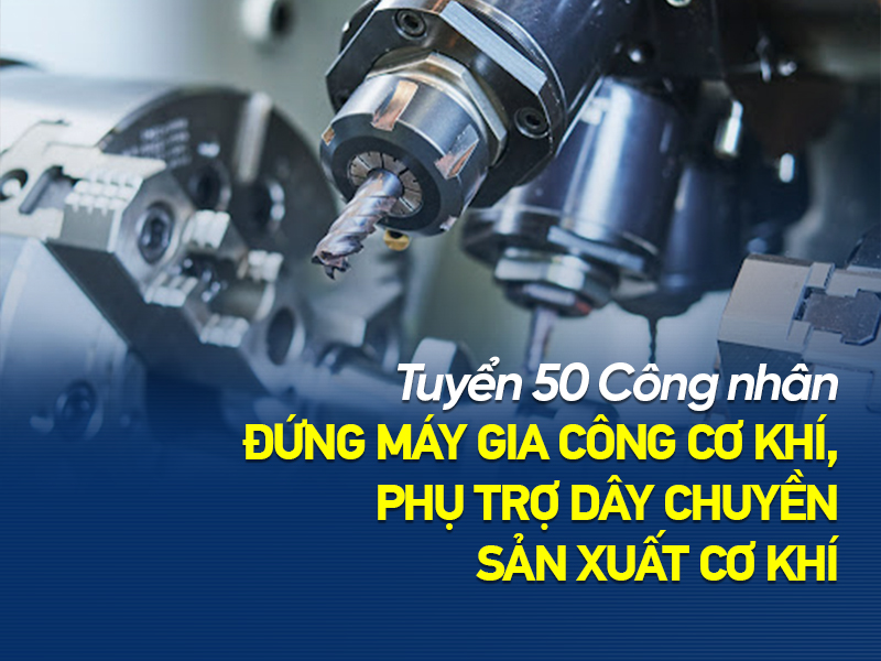 thuc-tap-sinh-nhat-ban-esuhai
