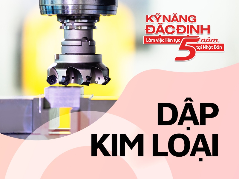 ky-nang-dac-dinh-esuhai-dap-kim-loai