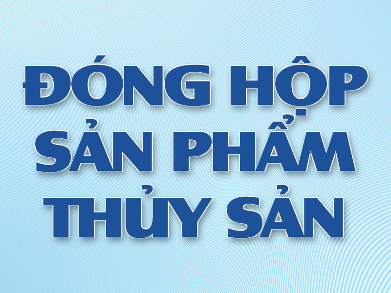 thuc-tap-sinh-nhat-ban-esuhai-kaizen