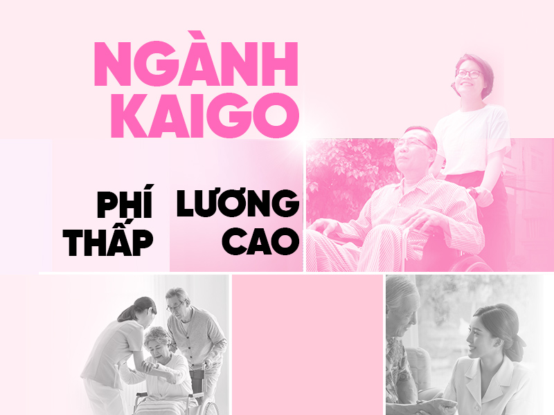 xuat-khau-lao-dong-nhat-ban