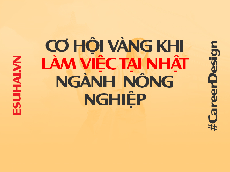 Cơ hội vàng làm việc tại Nhật Bản trong ngành Nông Nghiệp Nhà Kính