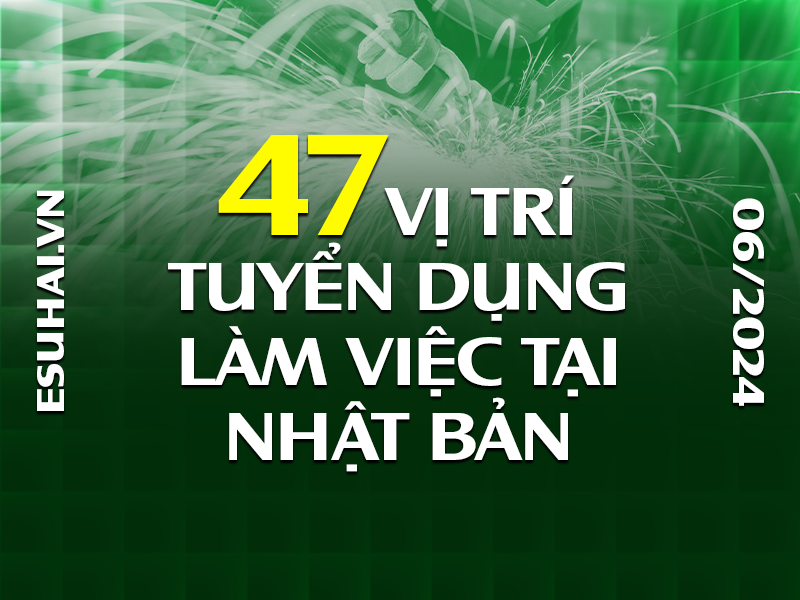 tuyển dụng tháng 06 năm 2024
