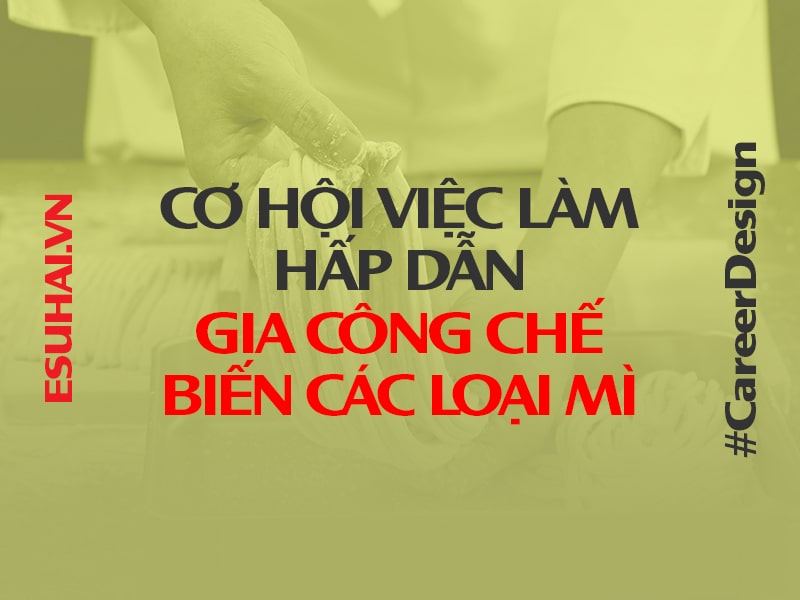 cong-viec-gia-cong-che-bien-cac-loai-mi