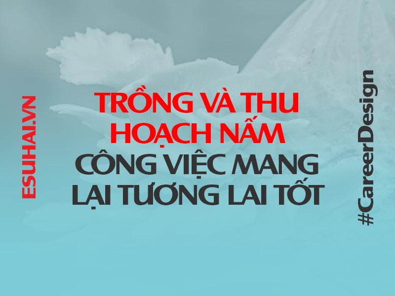 cong-viec-trong-va-thu-hoach-nam
