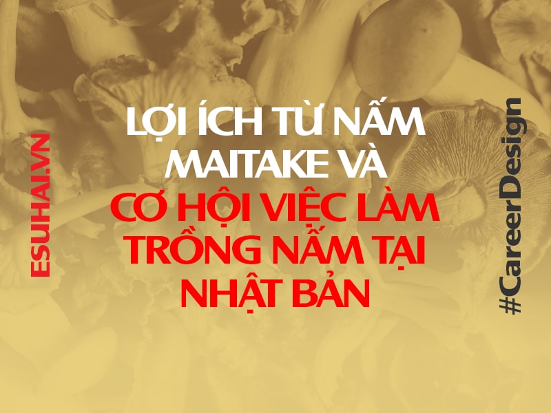 co-hoi-viec-lam-trong-nam-tai-nhat-ban