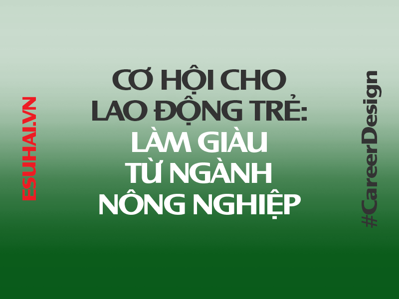 xuat-khau-lao-dong-nhat-ban-esuhai
