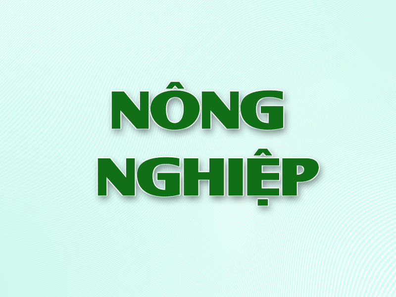 Tuyển 55 Nữ Nhân viên Trồng nấm trong nhà xưởng làm việc 3 năm tại Niigata