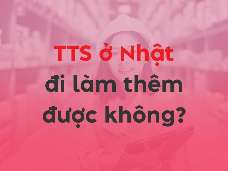 Thực tập sinh Nhật Bản có được làm thêm không?